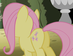 Size: 464x353 | Tagged: safe, screencap, fluttershy, pegasus, pony, the return of harmony, butt, cropped, flutterbutt, i watch it for the plot, plot, solo, wingless