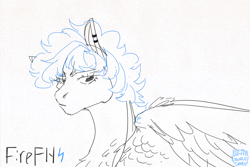 Size: 1280x853 | Tagged: safe, artist:whitegwava, firefly, pegasus, pony, g1, doodle, ear piercing, eyelashes, female, fluffy hair, long eyelashes, monochrome, piercing, shoulder fluff, simple background, solo, white background