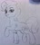 Size: 2137x2426 | Tagged: safe, artist:rily, trixie, pony, unicorn, g4, chinese, graph paper, high res, looking at you, photo, solo, traditional art