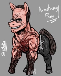 Size: 960x1200 | Tagged: safe, artist:72hoka, earth pony, pony, glasses, male, metal gear, metal gear rising, nanomachines, ponified, senator armstrong, smiling, stallion