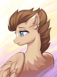 Size: 1638x2210 | Tagged: safe, artist:margony, oc, oc only, oc:drave, pegasus, pony, abstract background, brown mane, bust, chest fluff, coat markings, ear fluff, facial markings, female, folded wings, looking back, mare, solo, star (coat marking), tan coat, wings