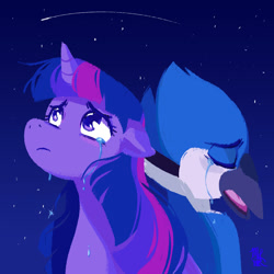 Size: 1500x1500 | Tagged: safe, artist:puccadraws, twilight sparkle, bird, pony, unicorn, g4, crossover, crossover shipping, crying, eyes closed, female, frown, looking up, male, meme, mordecai, mordetwi, night, night sky, regular show, shipping, shooting star, sky, straight