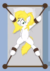 Size: 1536x2166 | Tagged: safe, artist:equestria secret guard, oc, oc:cath, pegasus, pony, armpits, bed, belly button, bondage, featureless crotch, female, helpless, mare, messy mane, on bed, pegasus oc, rope, rope bondage, sexy, solo, spread eagle, tied to bed, tied up