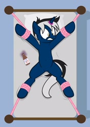 Size: 1536x2166 | Tagged: safe, artist:equestria secret guard, oc, oc only, oc:dark galaxy, pony, unicorn, armpits, bed, belly button, bondage, featureless crotch, gender swap potion, horn, horn ring, magic suppression, male, on bed, ring, rope, rope bondage, rule 63, sexy, solo, spread eagle, stallion, tied to bed, tied up, transformation, transgender transformation, unicorn oc