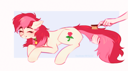 Size: 2129x1186 | Tagged: safe, artist:kasikomi, roseluck, human, pony, g4, brush, collar, commission, commissioner:doom9454, cute, duo, eyes closed, hand, offscreen character, offscreen human, pet tag, pony pet, rosepet