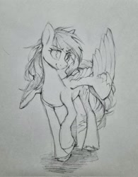 Size: 1601x2048 | Tagged: safe, artist:laymy, rainbow dash, pegasus, pony, g4, female, grayscale, mare, monochrome, pencil drawing, smiling, solo, traditional art