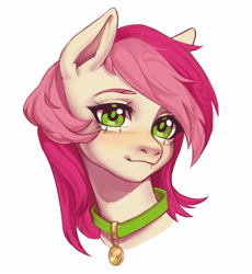 Size: 3672x3999 | Tagged: safe, artist:nozomiigg, roseluck, earth pony, pony, g4, bust, collar, commission, commissioner:doom9454, cute, female, high res, looking at you, mare, pet collar, pet tag, pony pet, portrait, rosepet, simple background, solo, white background