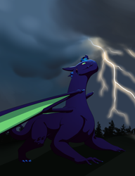 Size: 2000x2600 | Tagged: safe, artist:zettaidullahan, dragon, earth pony, pony, fanfic:empress dragon, dragoness, fanfic, fanfic art, female, fusion, high res, lightning, we have become one