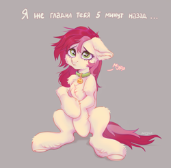 Size: 1899x1871 | Tagged: safe, artist:bastille, roseluck, earth pony, pony, g4, behaving like a cat, cheek fluff, chest fluff, collar, commission, commissioner:doom9454, cute, cyrillic, ear fluff, female, fluffy, gray background, implied human, leg fluff, mare, pet tag, pony pet, puppy dog eyes, purring, rosepet, russian, sad, simple background, sitting, solo, text, translated in the description
