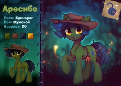 Size: 3379x2387 | Tagged: safe, artist:radioaxi, oc, oc only, pony, unicorn, cowboy hat, cyrillic, hat, high res, reference sheet, solo, translated in the comments