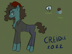 Size: 1600x1200 | Tagged: safe, artist:creida, oc, earth pony, pony, clothes, cutie mark, ponysona, reference sheet, simple background, solo