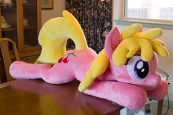 Size: 5184x3456 | Tagged: safe, artist:azgchip, cherry berry, earth pony, pony, g4, female, irl, life size, photo, plushie, solo