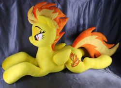 Size: 5517x4000 | Tagged: safe, artist:adamar44, spitfire, pegasus, pony, g4, female, irl, photo, plushie, solo