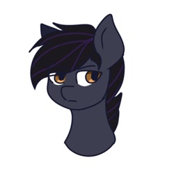 Size: 1200x1200 | Tagged: safe, artist:foxx_grey_art, oc, oc:darkdj, pegasus, pony, black mane, bust, golden eyes, simple background, white background