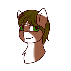 Size: 1200x1200 | Tagged: safe, artist:foxx_grey_art, oc, oc:creston leopaw, pegasus, pony, bust, green eyes, simple background, white background