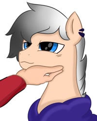 Size: 736x920 | Tagged: safe, artist:foxx_grey_art, oc, oc only, oc:colin grey, human, pegasus, pony, clothes, hand, hoodie, human on pony petting, pegasus oc, petting, simple background, white background