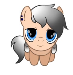 Size: 546x561 | Tagged: safe, artist:foxx_grey_art, oc, oc only, oc:colin grey, pegasus, pony, blue eyes, looking at you, looking up, looking up at you, male, simple background, sitting, smiling, stallion, white background