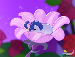 Size: 1250x947 | Tagged: safe, artist:beauvoirferril0, artist:noir-b, oc, oc:midnight melody, mouse, eyes closed, female, flower, flower in hair, rose, screencap background, sleeping, solo, species swap, watermark