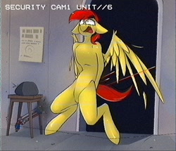 Size: 1256x1080 | Tagged: safe, artist:difis, oc, oc:golden bullet, pegasus, pony, semi-anthro, fallout equestria, analog tv, bipedal, crying, featureless chest, featureless crotch, female, gun, gunshot, hurts like a bitch, imminent pain, injured, literal butthurt, mare, pain, pegasus oc, security camera, shooting, shot, shotgun, slouching, solo, tail, this ended in pain, this ended in tears, this is going to hurt, trap (device), two toned mane, two toned tail, we don't normally wear clothes, weapon, wings