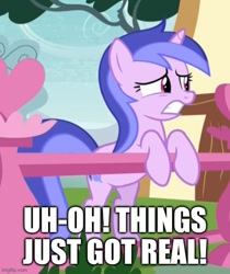 Size: 500x596 | Tagged: safe, edit, edited screencap, screencap, sea swirl, seafoam, pony, unicorn, a rockhoof and a hard place, g4, season 8, caption, cropped, female, image macro, imgflip, mare, reaction image, solo, text