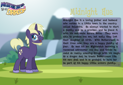 Size: 3014x2102 | Tagged: safe, artist:aleximusprime, oc, oc only, oc:midnight hue, pony, unicorn, fanfic:my little sister is a dragon, bio, high res, solo
