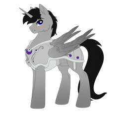 Size: 2563x2362 | Tagged: safe, artist:elberas, oc, oc only, oc:hearts dalliance, alicorn, pony, armor, high res, male, simple background, slender, solo, stallion, thin, transparent background