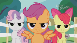 Size: 1366x768 | Tagged: safe, screencap, apple bloom, scootaloo, sweetie belle, earth pony, pegasus, pony, unicorn, flight to the finish, g4, season 4, cutie mark crusaders, female, filly, foal, hearts as strong as horses, narrowed eyes, new episode, spread wings, the hub, trio, wings