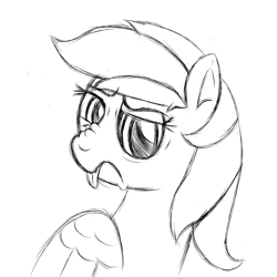 Size: 2200x2200 | Tagged: safe, artist:tigerbeetle, derpibooru exclusive, rainbow dash, g4, angry, disgusted, high res, looking at you, monochrome, nose wrinkle, scowl, simple background, sketch, tongue out, white background, wings
