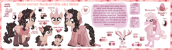Size: 2410x700 | Tagged: safe, artist:jennieoo, oc, oc:beauie, oc:belle, oc:brownbrier baskerville, dragon, pony, rabbit, unicorn, animal, antlers, bio, clothes, cutie mark, dress, egg, eyeshadow, female, filly, foal, gala dress, looking at you, makeup, reference sheet, scarf, show accurate, simple background, smiling, smiling at you, teenager, vector