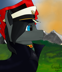 Size: 1300x1500 | Tagged: safe, artist:hno3, oc, oc only, oc:sinnie, earth pony, pony, equestria at war mod, clothes, equality, flag, grass, hat, mountain, profile, solo, uniform