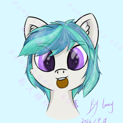 Size: 2500x2500 | Tagged: safe, artist:lancy, oc, oc only, oc:lancy, pony, biscuits, high res, looking at you