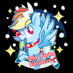 Size: 1000x1000 | Tagged: safe, artist:yokokinawa, rainbow dash, deer, deer pony, original species, peryton, g4, black background, race swap, reindeer dash, simple background, solo