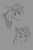 Size: 750x1150 | Tagged: safe, artist:stray prey, oc, oc only, oc:lucent, pony, unicorn, sketch, solo, sternocleidomastoid