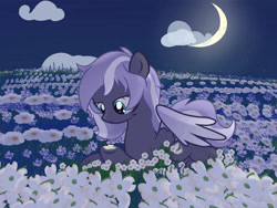 Size: 4000x3000 | Tagged: safe, artist:fuzzycyclone, oc, oc only, oc:moonlight flowersocean, pegasus, pony, flower, moon, solo