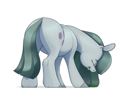 Size: 2639x2059 | Tagged: safe, artist:aquaticvibes, marble pie, earth pony, pony, g4, butt, cute, ear fluff, eating grass, eyes closed, grazing, herbivore, high res, horses doing horse things, marblebetes, plot, plump, simple background, solo, white background