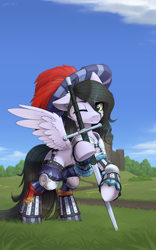 Size: 2496x4000 | Tagged: safe, artist:dipfanken, oc, oc only, oc:tail, pegasus, pony, armor, clothed ponies, clothes, cute, greatsword, landsknecht, long tail, ocbetes, pegasus oc, raised hoof, solo, spread wings, sword, tail, weapon, wings, zweihander
