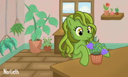 Size: 1788x1080 | Tagged: safe, artist:norlieth, oc, oc only, earth pony, pony, digital art, earth pony oc, female, flower, full background, half body, herbs, pony oc, room, smiling, solo, window