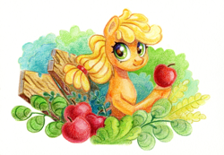 Size: 1448x1000 | Tagged: safe, artist:maytee, part of a set, applejack, earth pony, pony, g4, apple, cute, food, jackabetes, simple background, solo, traditional art, white background