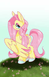Size: 750x1185 | Tagged: safe, artist:pagophasia, derpibooru exclusive, fluttershy, pegasus, pony, g4, blushing, colored hooves, cute, day, female, flower, grass, impossibly long eyelashes, looking at you, shyabetes, solo, unshorn fetlocks, wings