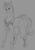 Size: 1550x2200 | Tagged: safe, artist:stray prey, oc, oc only, oc:lucent, pony, unicorn, bandage, solo, sternocleidomastoid