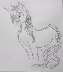 Size: 2408x2734 | Tagged: safe, artist:crazyaniknowit, shining armor, pony, g4, high res, monochrome, solo, traditional art