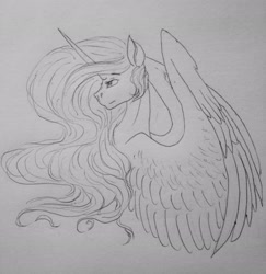 Size: 2448x2517 | Tagged: safe, artist:crazyaniknowit, princess celestia, pony, g4, high res, monochrome, solo, traditional art