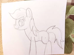 Size: 4160x3120 | Tagged: safe, artist:platinumdrop, earth pony, pony, monochrome, random pony, sketch, solo, traditional art