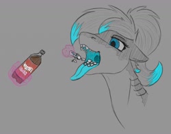 Size: 1280x996 | Tagged: safe, artist:stray prey, oc, oc only, oc:lacera viscera, original species, pony, shark, shark pony, eating, food, gills, mawshot, mentos, mentos and diet coke, open mouth, soda, solo, sternocleidomastoid