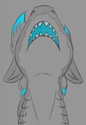 Size: 886x1280 | Tagged: safe, artist:stray prey, oc, oc only, oc:lacera viscera, original species, pony, shark, shark pony, ears back, gills, solo, sternocleidomastoid