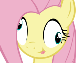 Size: 1198x1000 | Tagged: safe, fluttershy, pegasus, pony, g4, :p, derp, female, silly, silly pony, simple background, solo, tongue out, white background