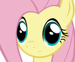 Size: 1198x1000 | Tagged: safe, fluttershy, g4, :/, female, simple background, solo, white background
