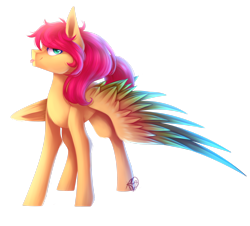 Size: 2578x2326 | Tagged: safe, artist:prettyshinegp, oc, oc only, pegasus, pony, high res, male, pegasus oc, signature, simple background, solo, stallion, transparent background, wings