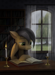 Size: 2000x2716 | Tagged: safe, artist:magfen, oc, oc only, earth pony, pony, fanfic:handlarz słów, book, bookshelf, candle, earth pony oc, fanfic, fanfic art, fanfic cover, high res, solo, tree, window