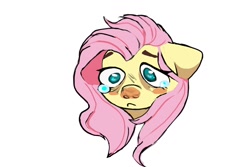 Size: 1500x1000 | Tagged: safe, artist:ametff3, fluttershy, pegasus, pony, g4, bust, crying, simple background, white background